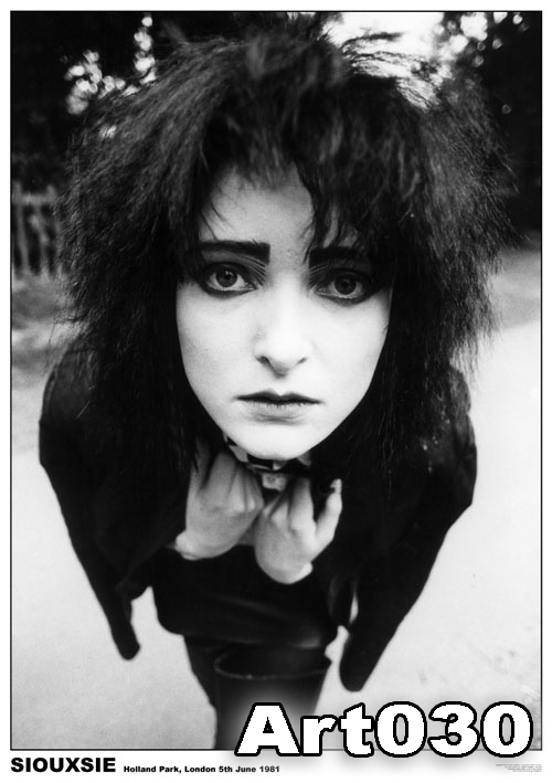 17-.POSTER SIOUXIE